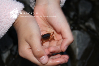 20120727e.jpg