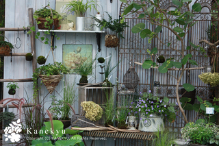 20120727vv.jpg