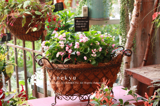 20120730a.jpg
