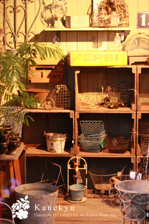20120805a.jpg