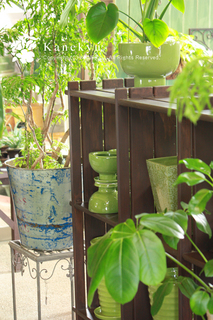 20120806p.jpg