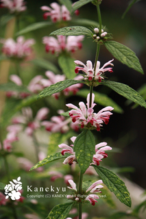 20120910a.jpg