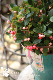 20120920v.jpg