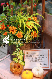 20120922a.jpg