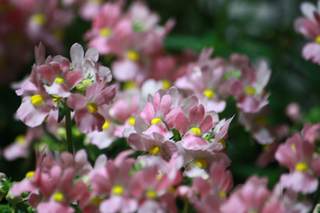 20120925a.jpg