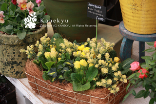 20121211g.jpg