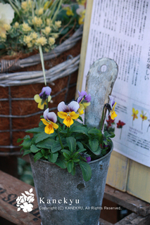 20121216c.jpg