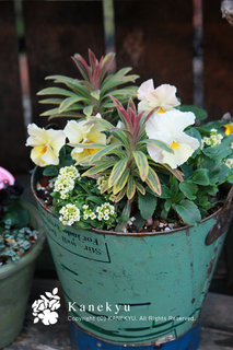 20121216d.jpg