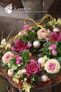 20121221e.jpg