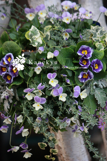 20121223g.jpg