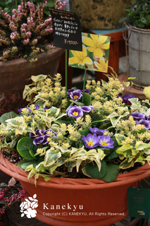 20121223n.jpg
