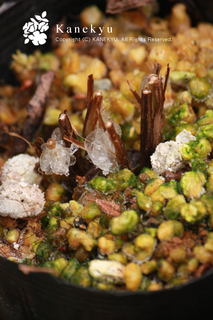 20130119a.jpg