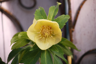 20130124eeee.jpg