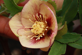 20130125b.jpg