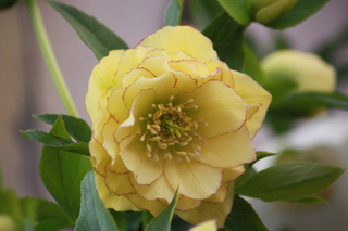 20130125c.jpg