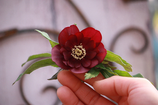 20130212aaa.jpg
