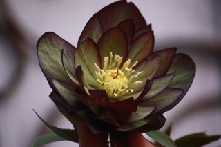 20130214bbb.jpg