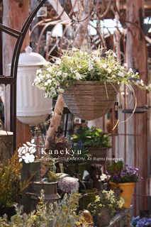 20130312d.jpg