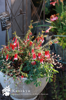 20130312e.jpg