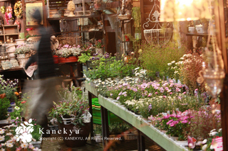 20130313g.jpg