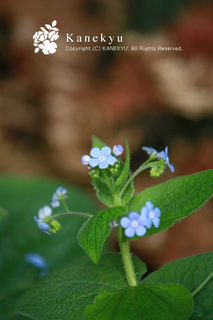 20130411e.jpg