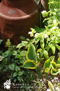 20130415f.jpg
