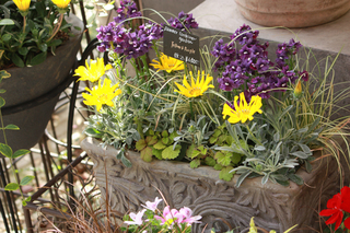 20130416b.jpg