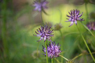 20130416s.jpg