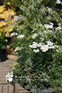20130419i.jpg