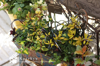 20130422f.jpg