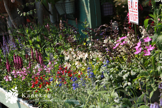 20130427m.jpg