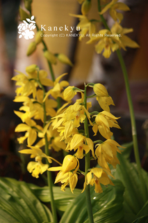 20130427n.jpg