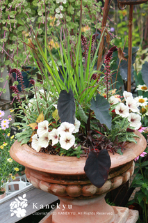 20130528b.jpg