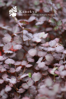 20130531b.jpg