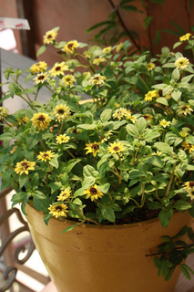 20130609i.jpg