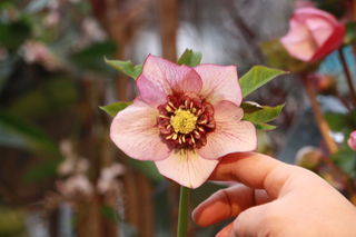 20140130o.jpg