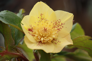 20140206l.jpg