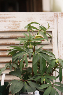 20140219bb.jpg