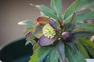 20140220e.jpg