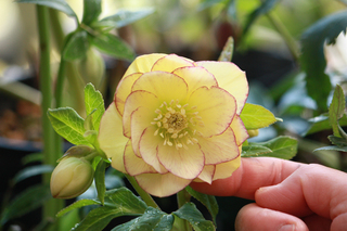 20140221k.jpg