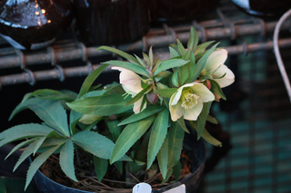 20140222yy.jpg