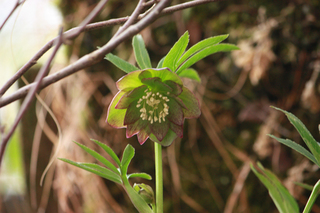 20140226b.jpg