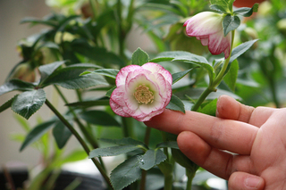 20140227j.jpg