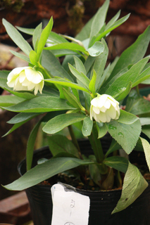 20140227oo.jpg