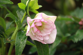20140228g.jpg