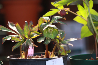 20140303c.jpg