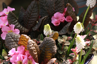 20140303i.jpg
