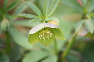 20140305b.jpg
