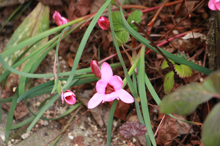 20140305y.jpg