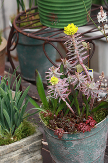 20140305yyy.jpg